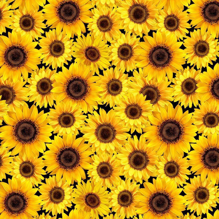 TIMELESS TREASURES FALL IS IN THE AIR, HARVEST-CM2802, YELLOW,