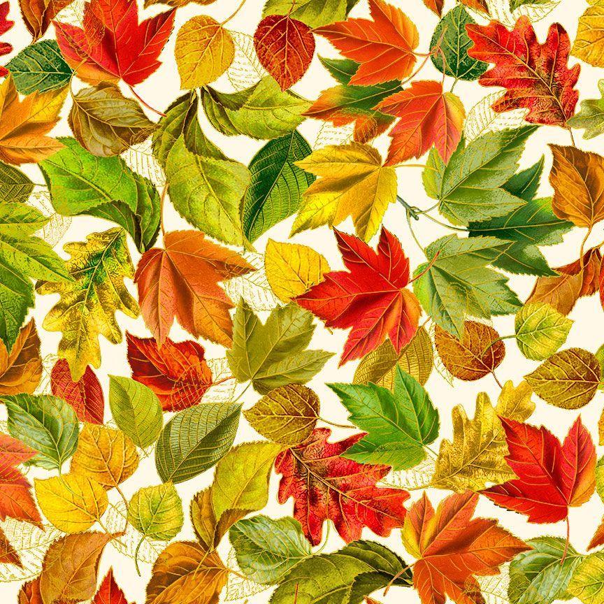 TIMELESS TREASURES FALL IS IN THE AIR, HARVEST-CM2803, CREAM,