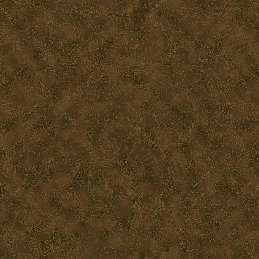 Timeless Treasures Above And Beyond, CQ-CD4554, Brown,
