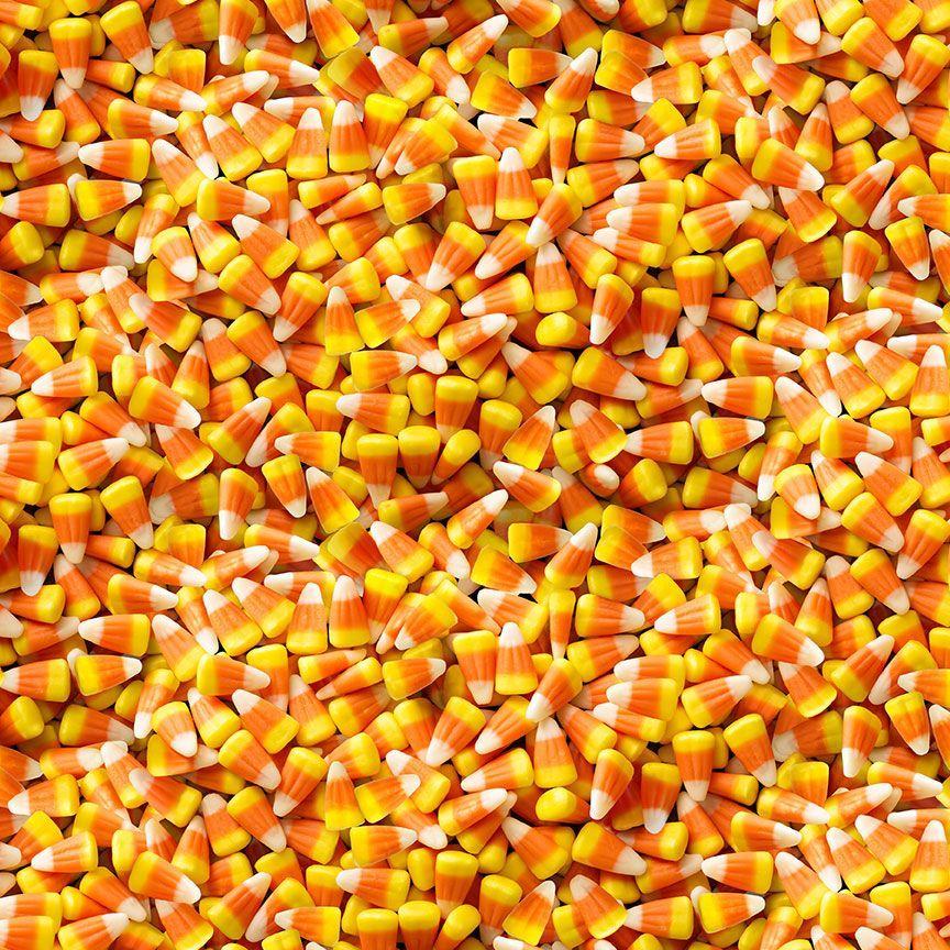 Timeless Treasures Cider Season, BOO-CD2938, Corn,
