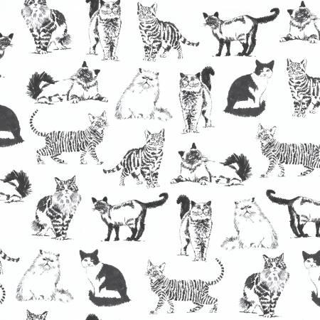 Timeless Treasures, Purrfect Hangout, 840035968636