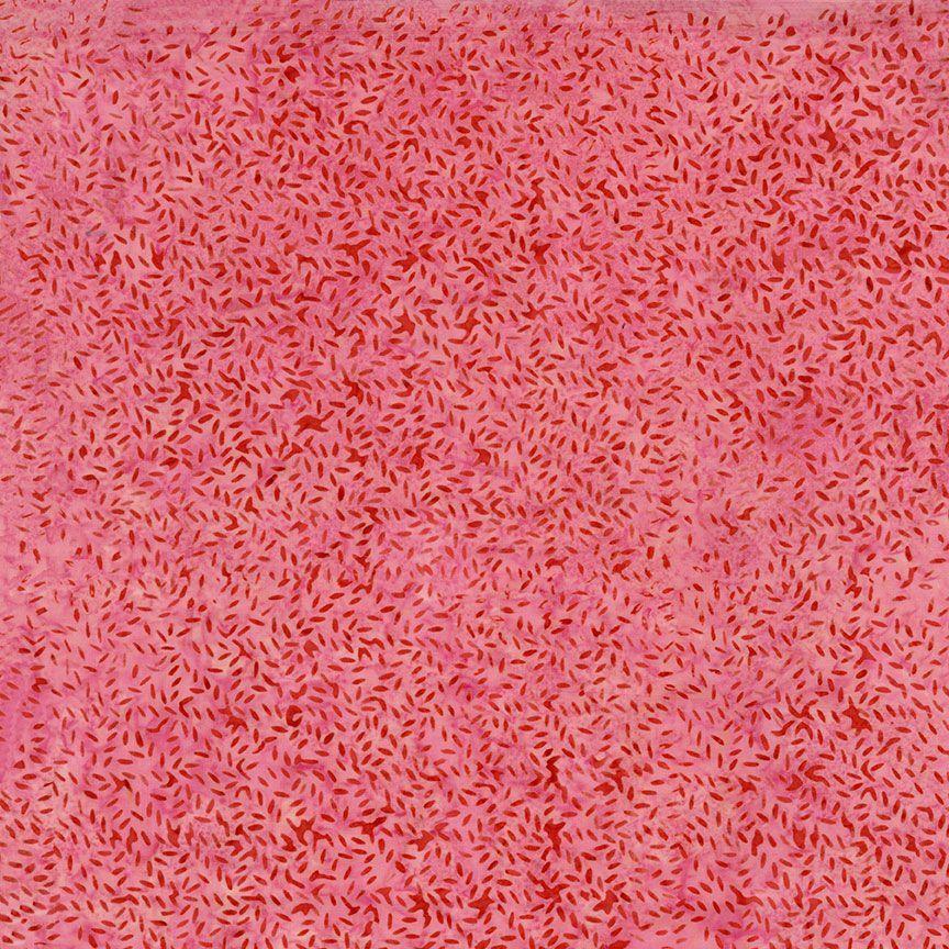 Timeless Treasures Tonga Poinessia, TONGA-B4032, Rose ,