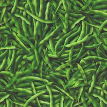 Windham Fabrics A La Carte, 55405D-1, Fresh Green,